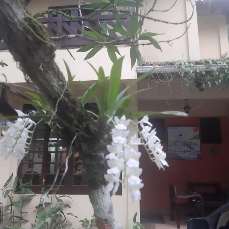 Pousada Recanto Dos Tangaras Juquei Dış mekan fotoğraf